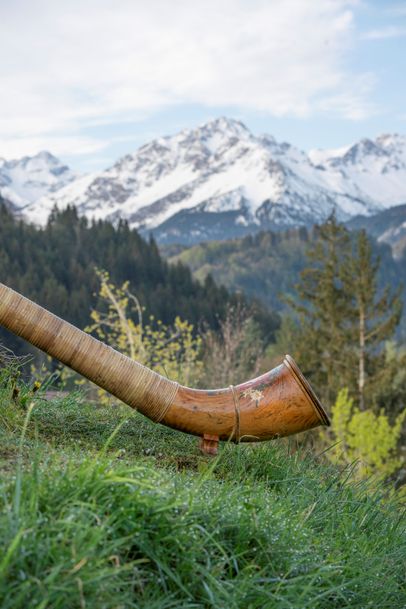 Alphorn_Schnee