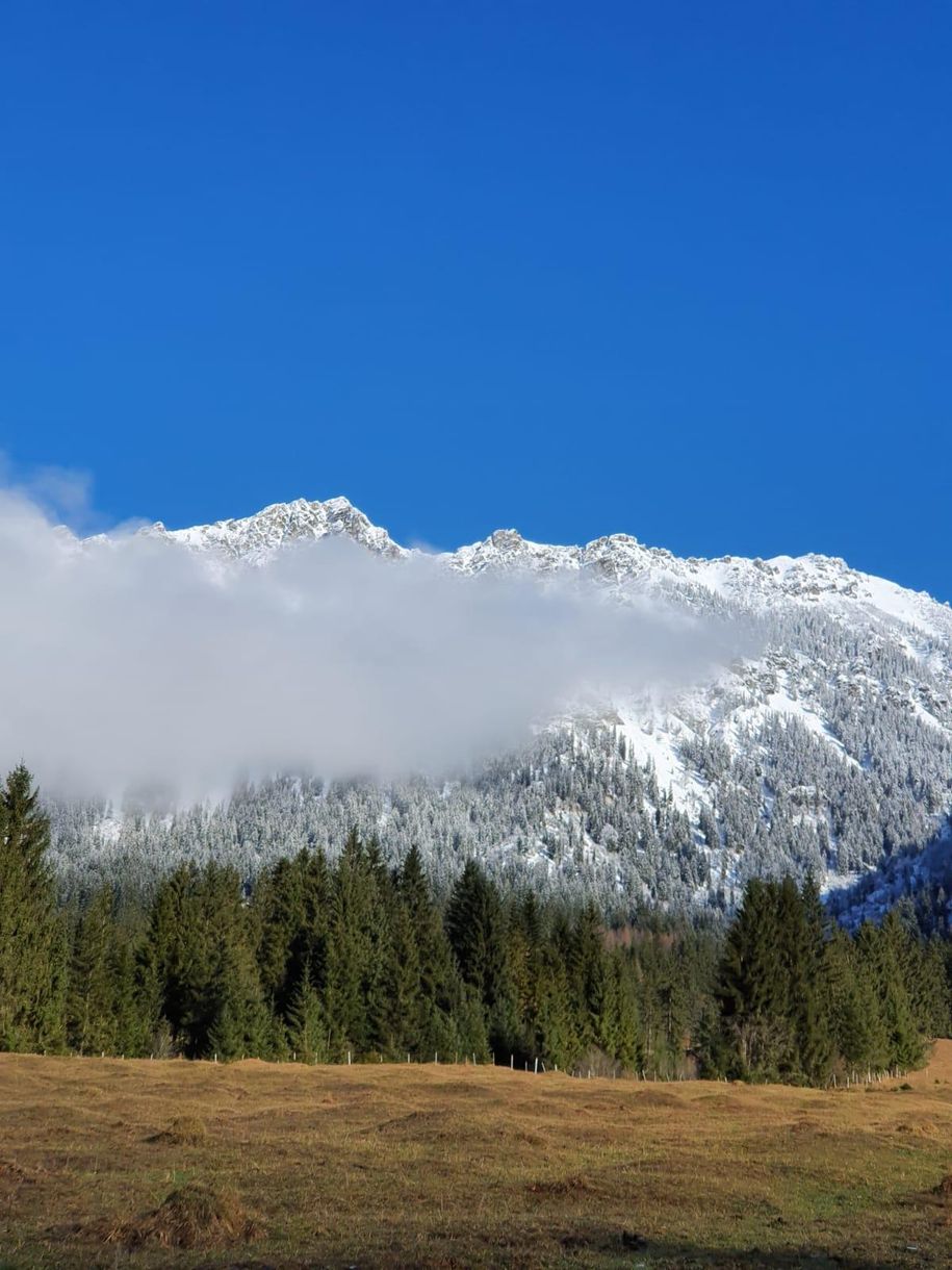 Frühling im Tal - Winter in den Bergen
