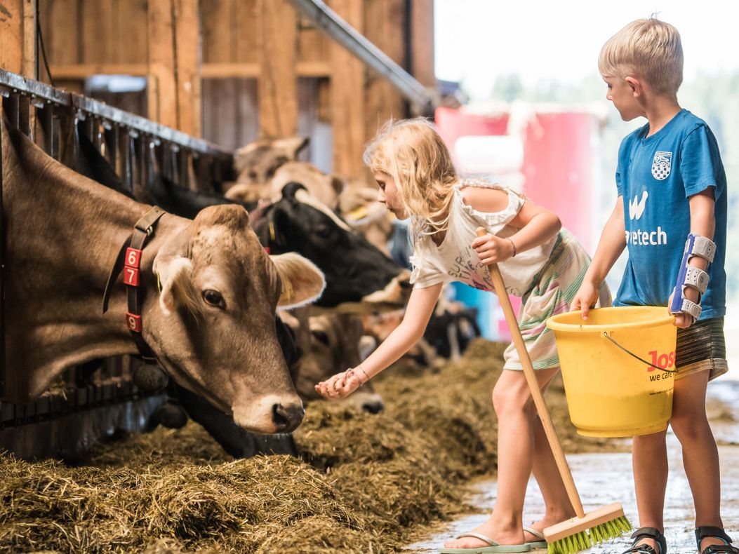 Mithilfe im Stall möglich