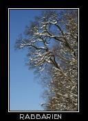 Winterstimmung