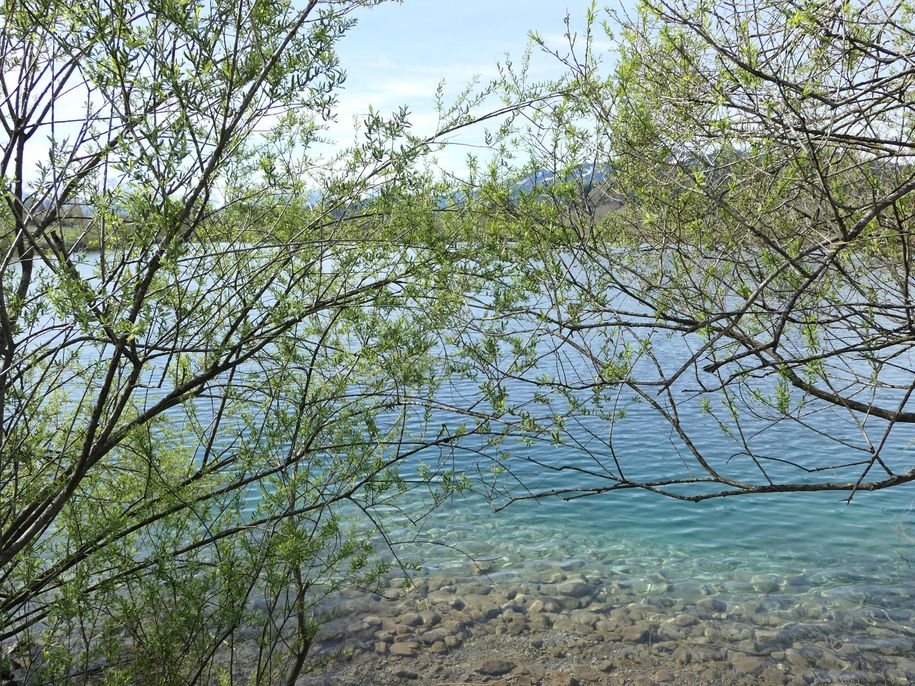 "unser Badesee"  herrlich frisches Wasser