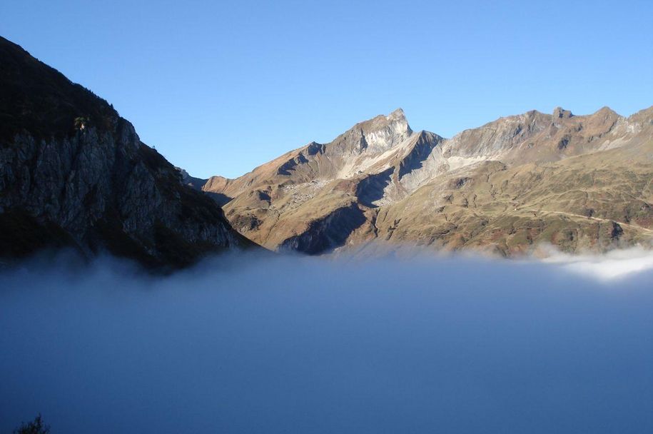 Schneck im Bärgündle-Tal