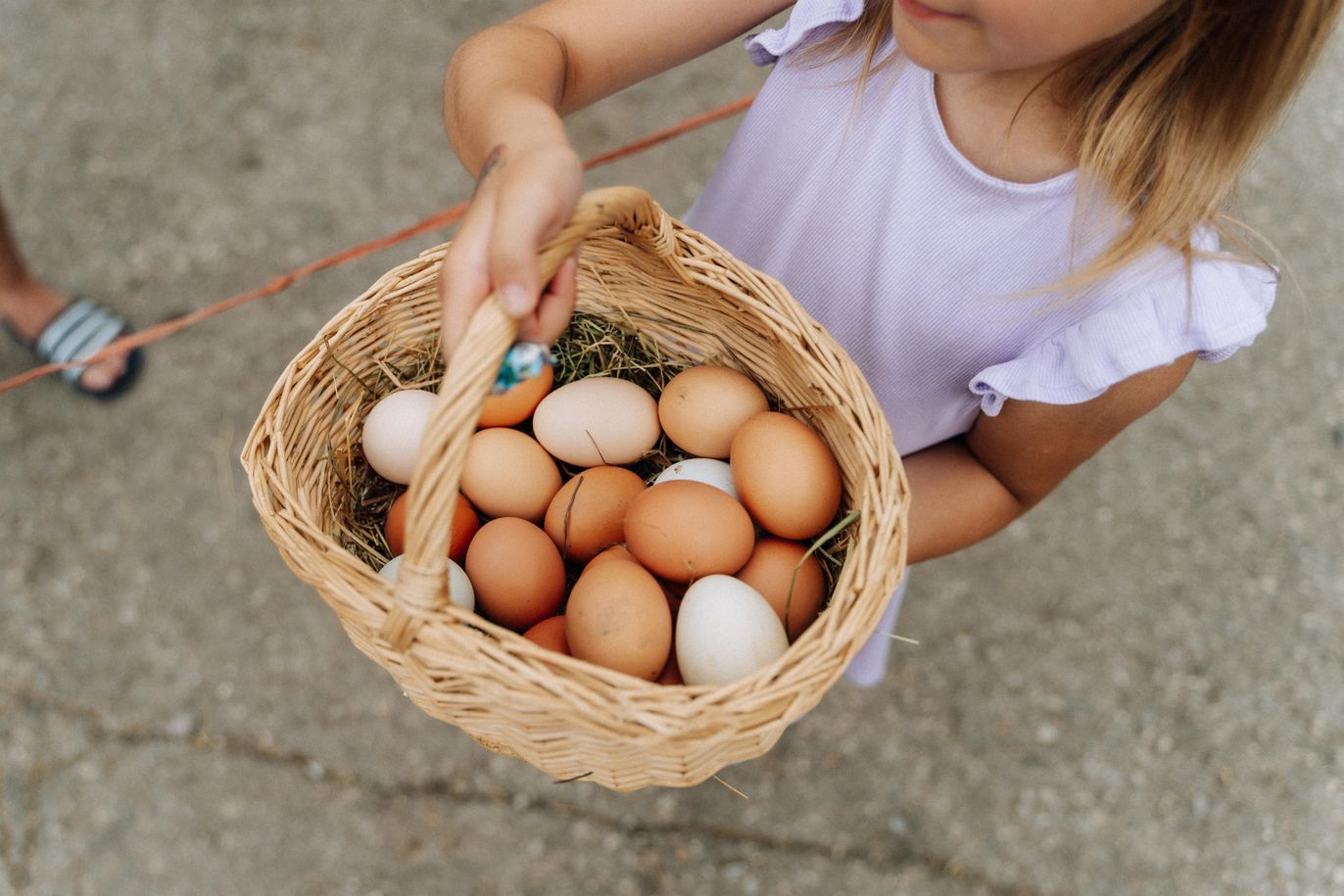 Jeden Tag Eier holen