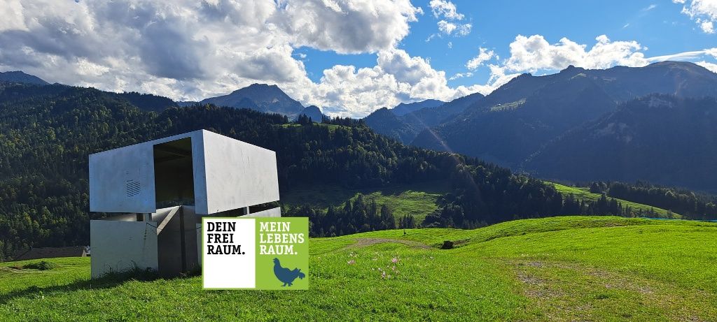 Georunde Rindberg Sibratsgfäll