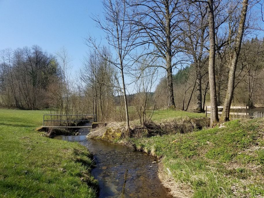 Am Karbach bei Leupolzmühle