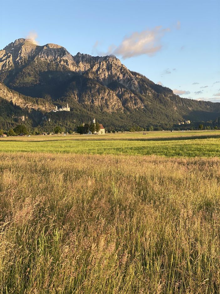 pur Natur mit Schloßblick