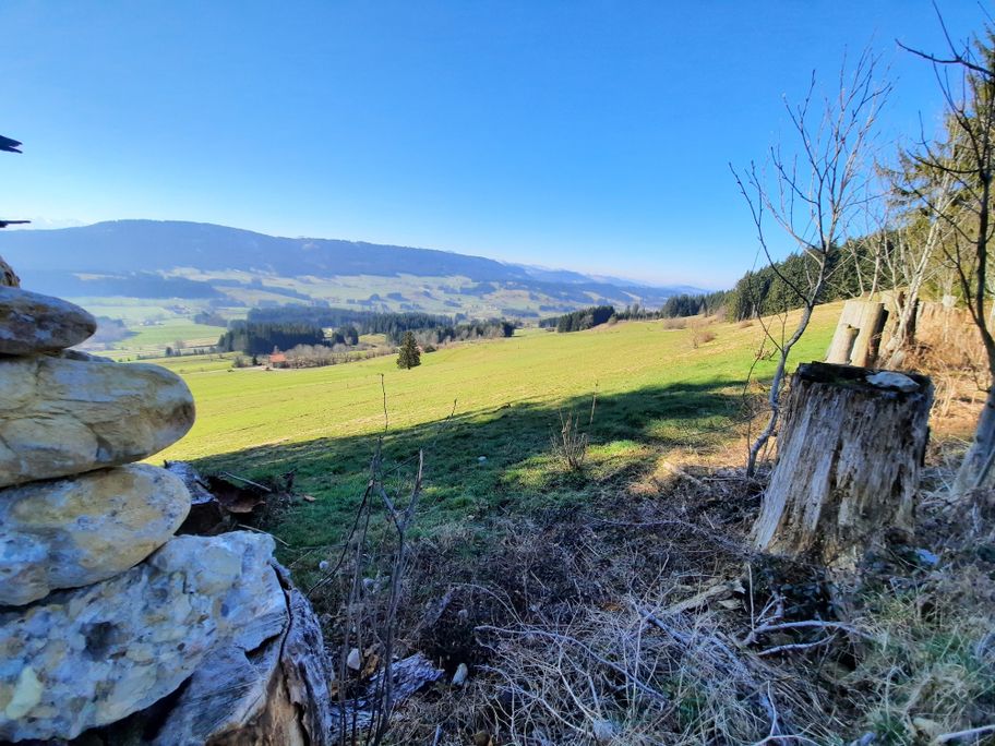 Sonneckgrat mit Aussicht auf den Hauchenberg und Weitnauer Tal