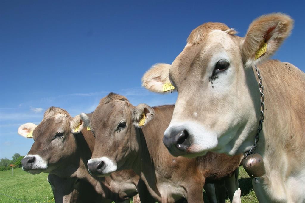Zeit zum Entschleunigen