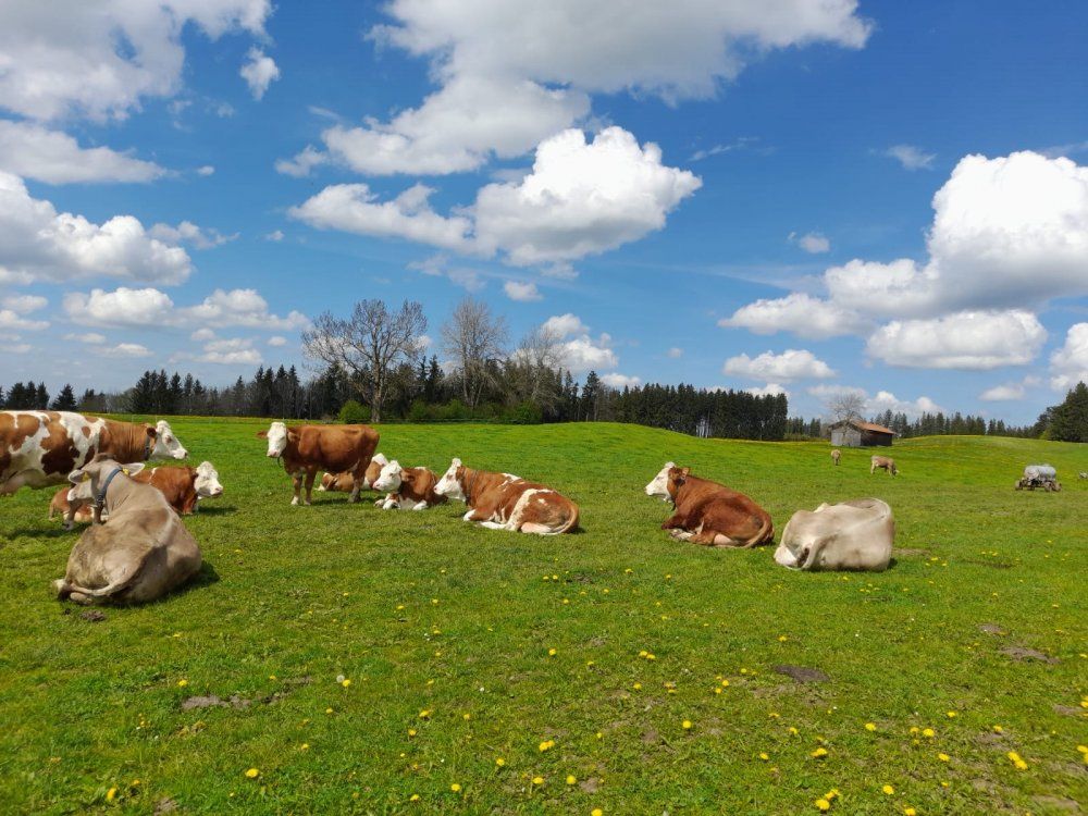 86a8e7b6-ae11-45bf-afbf-21b9db4e1a9e