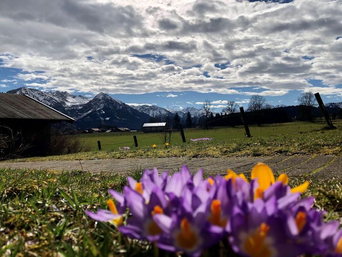 Blick aufs Rubihorn