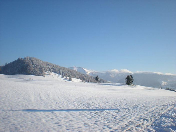 Winterlandschaft