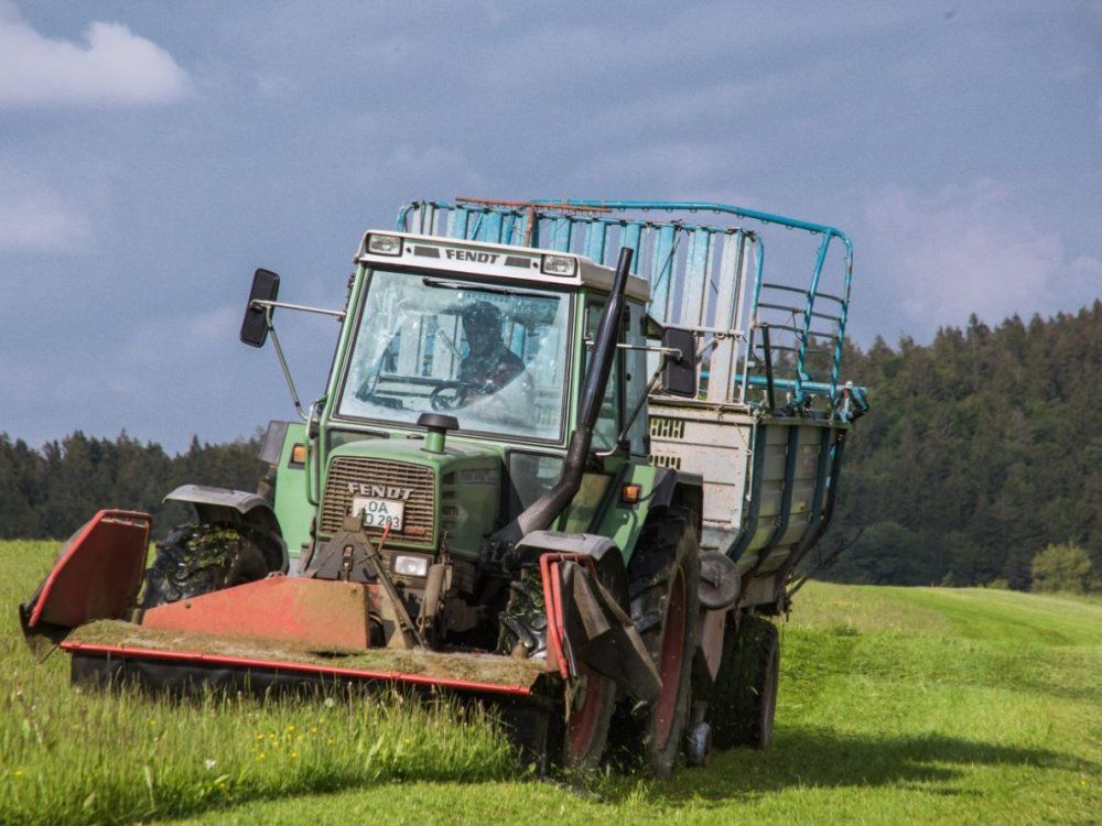 Futter für unsere Kühe wird gemäht