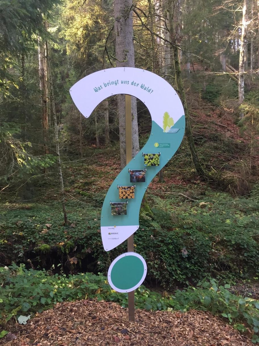 Plenterwaldweg Scheidegg