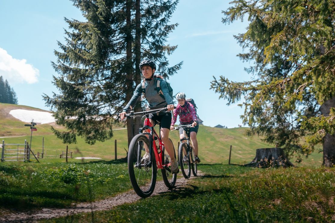 Mountainbiken im Naturparknagelfluhkette