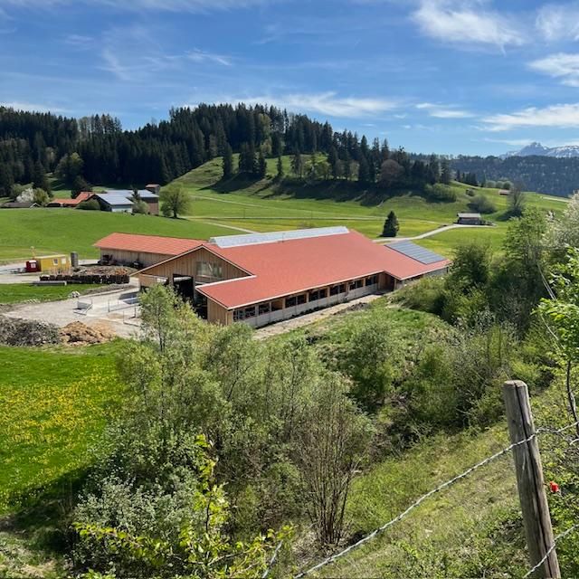 neuer Milchviehstall