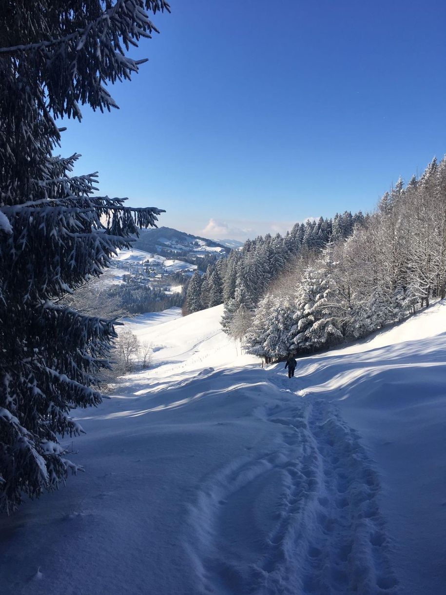 winter