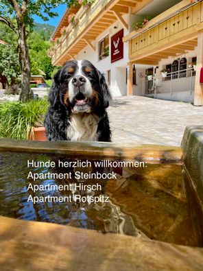 Hunde herzlich willkommen