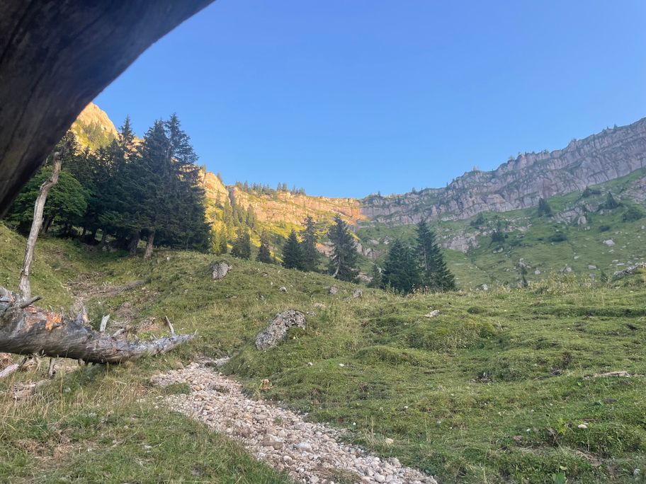 Brunnenauscharte mit Nagelfluhfelsen