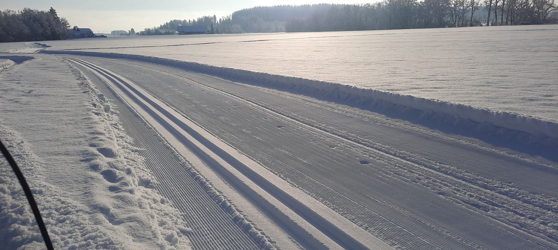 Langlaufen auf der Ausnanger-Loipe