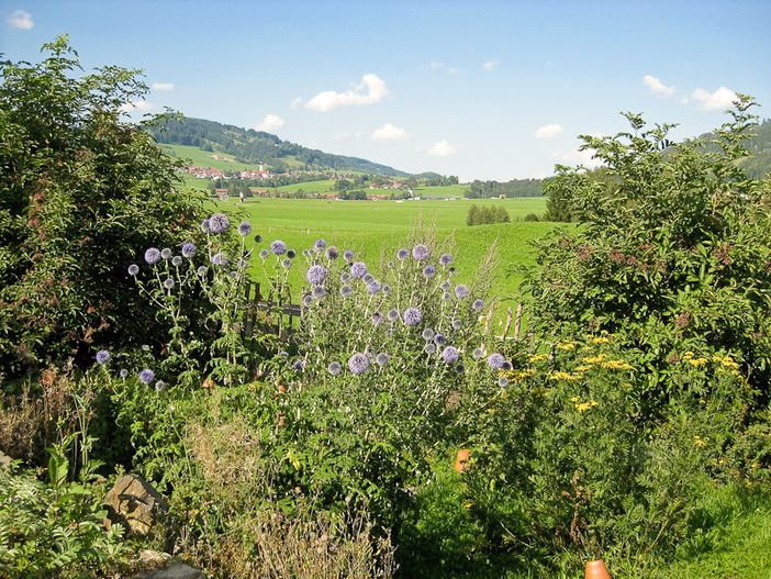 Blick vom Kräutergarten - Unser BIO-Bauernhof liegt auf 734m Höhe, am Fuße des Grünten