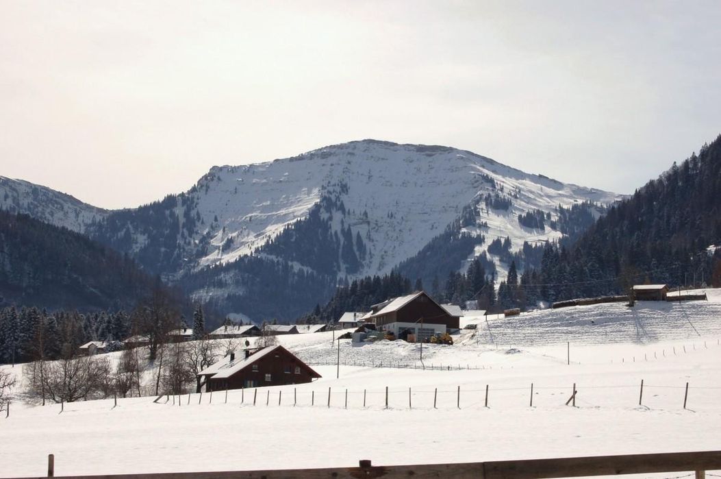 Steibis Blick zum Hochgrat