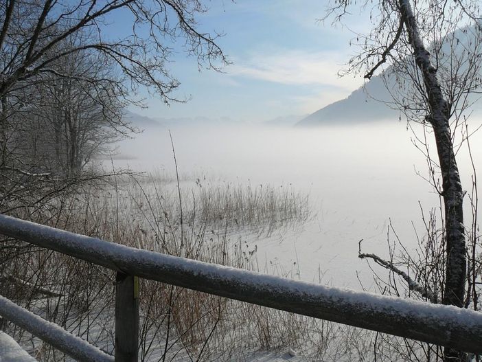 Winterimpression am Alpsee