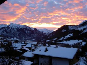 Ausblick