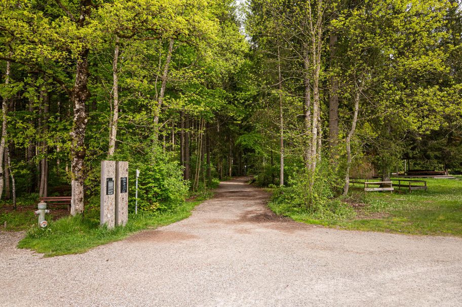 Eingang zum Eichhörnchenwald bei Fischen