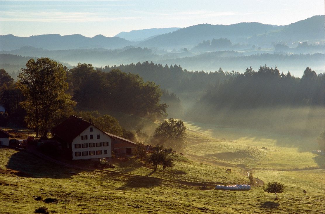 Blick ins Rothachtal bei der Wanderung "Rund um Lindenberg"
