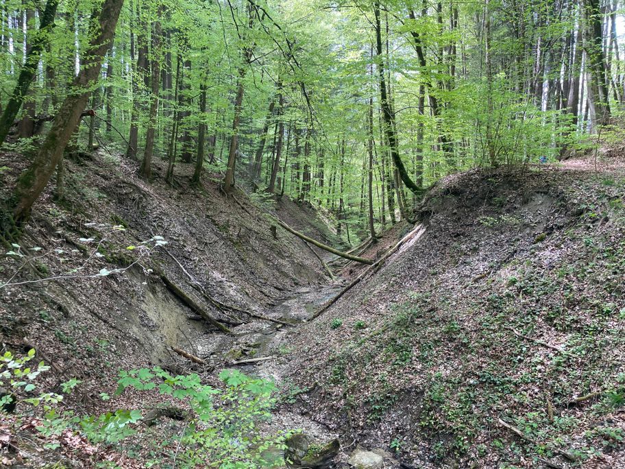 Wegeabschnitt