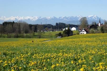 Hergensweiler