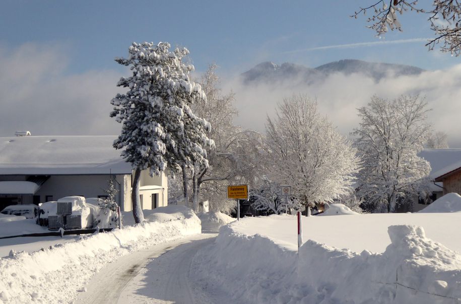 Winter