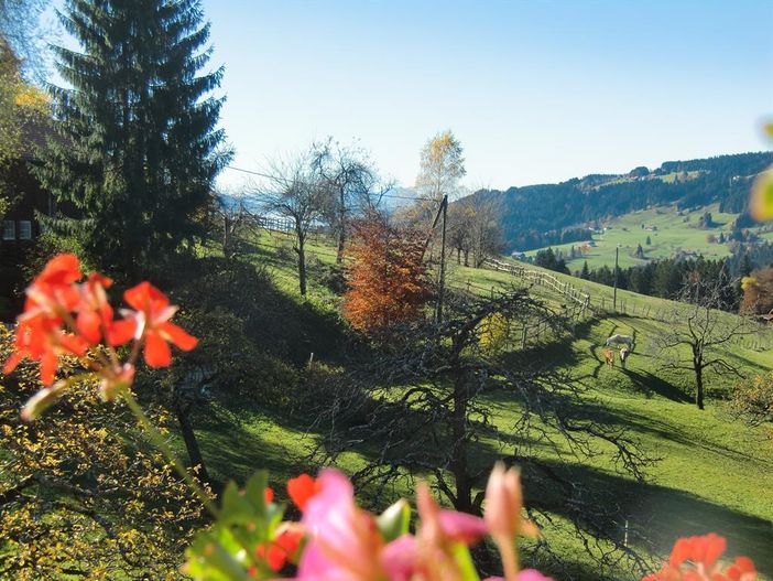 Aussicht vom Balkon
