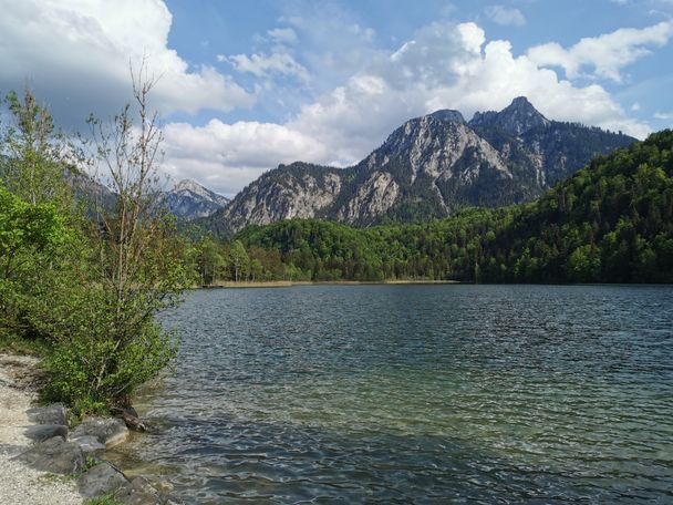 Swan Lake Circular Trail