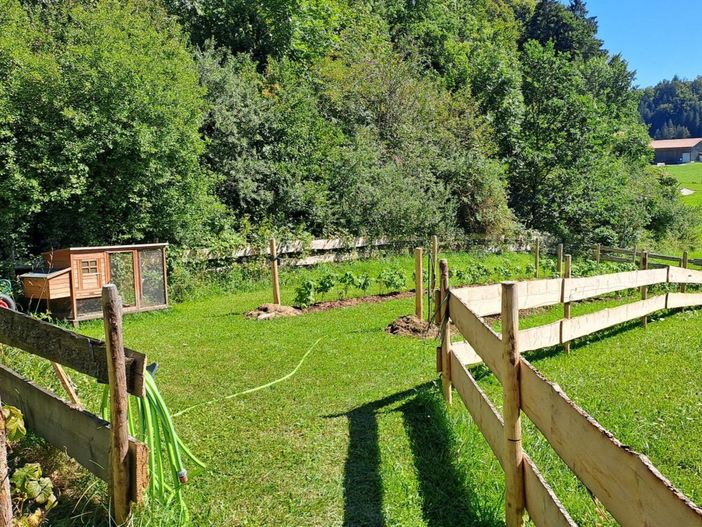 Himbeer Garten