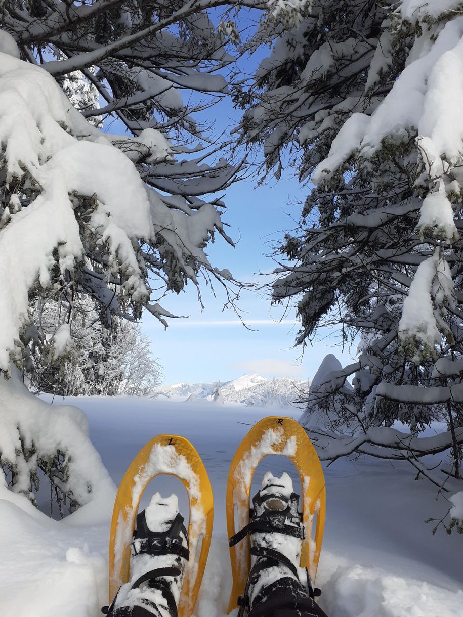 Schneeschuhwanderung
