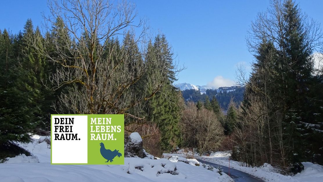 Naturpark Nagelfluhkette