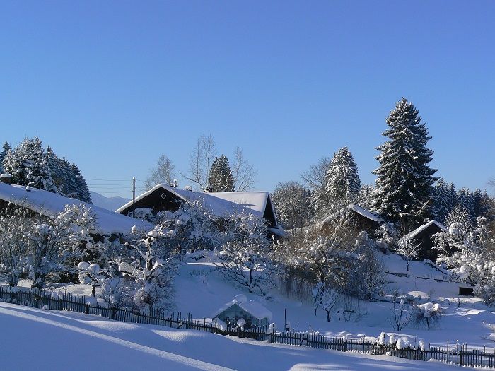 Winter