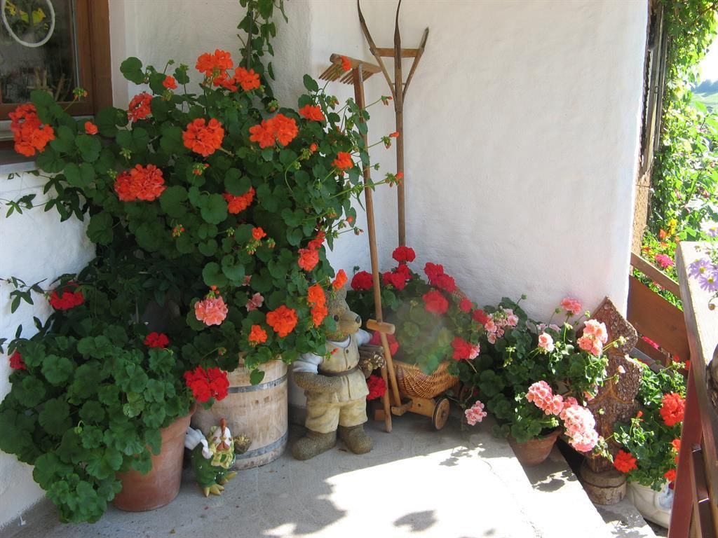 Blumen im Eingangsbereich