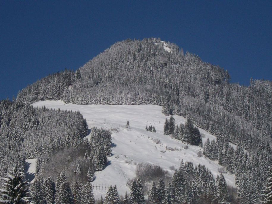 Winterlandschaft