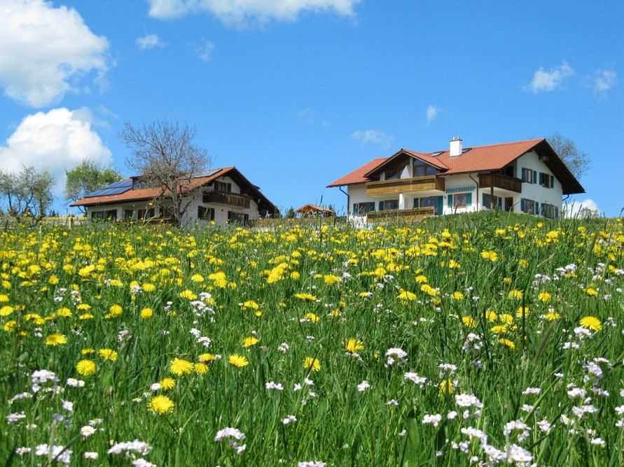 Frühling auf dem Ferienhof Günther