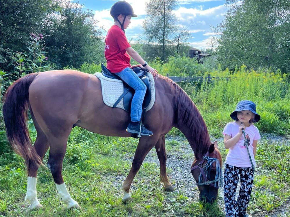 Reiten auf einem unserer braven Pferde