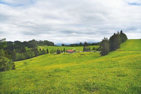 Marc Brandner - Allgäuer Glasregion Adelegg