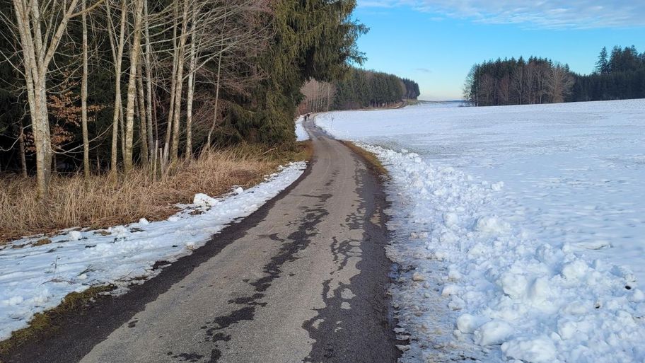 Wiesenweg zum Elbsee und zurück