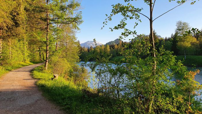 Auwaldsee
