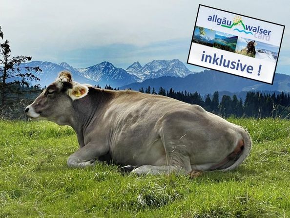Herzlich willkommen...