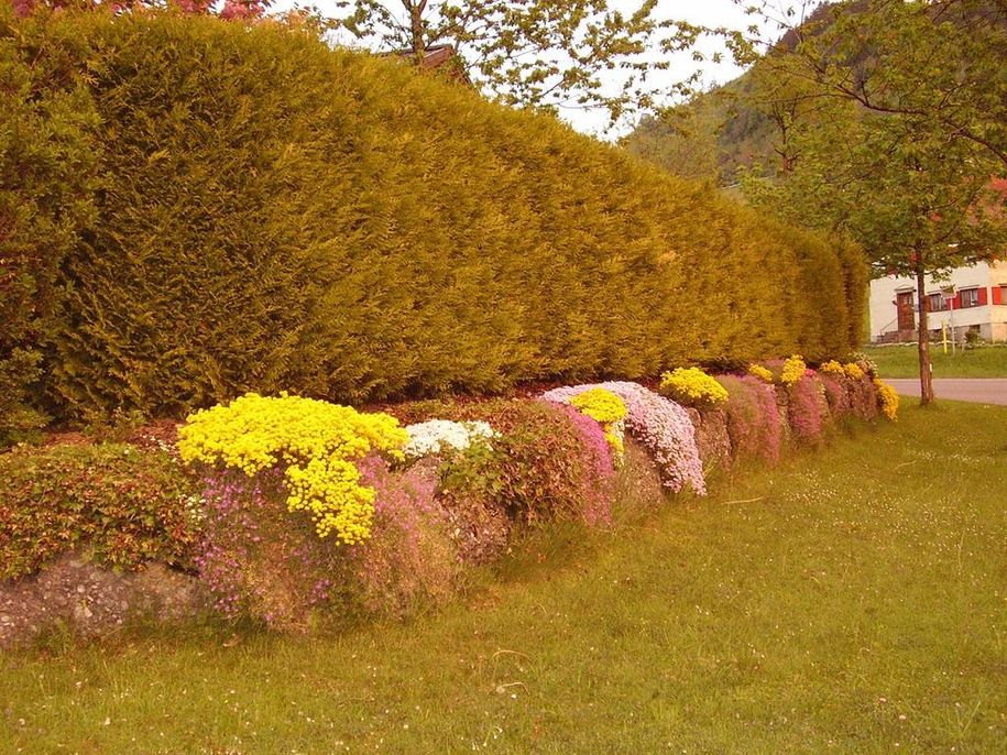 Garten 2