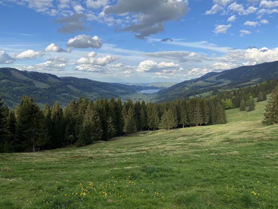 Blick auf Alpsee vom Gipfelkreuz Hündle ohne Mensc