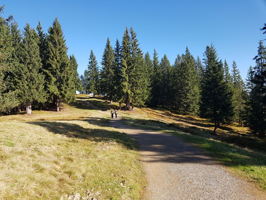 Ein Klassiker - die Hörner-Panoramatour