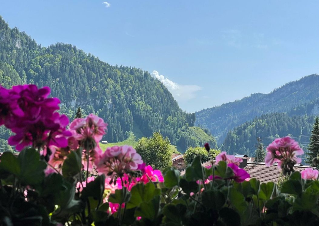 Alpentraum Sommer Blick vom Balkon 1